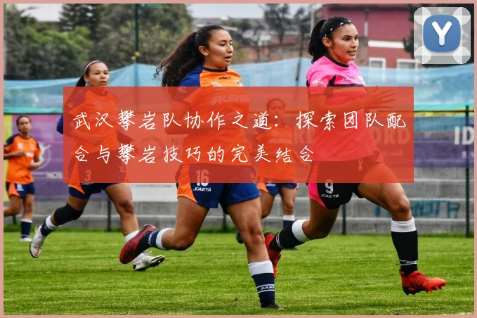 武汉攀岩队协作之道：探索团队配合与攀岩技巧的完美结合